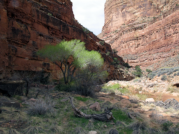 We spent the 2nd night on the grassy area above, then headed upriver to Young's Canyon for the third night.