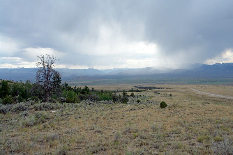 We started driving just as the rainstorms hit, and drove home in on-and-off showers.