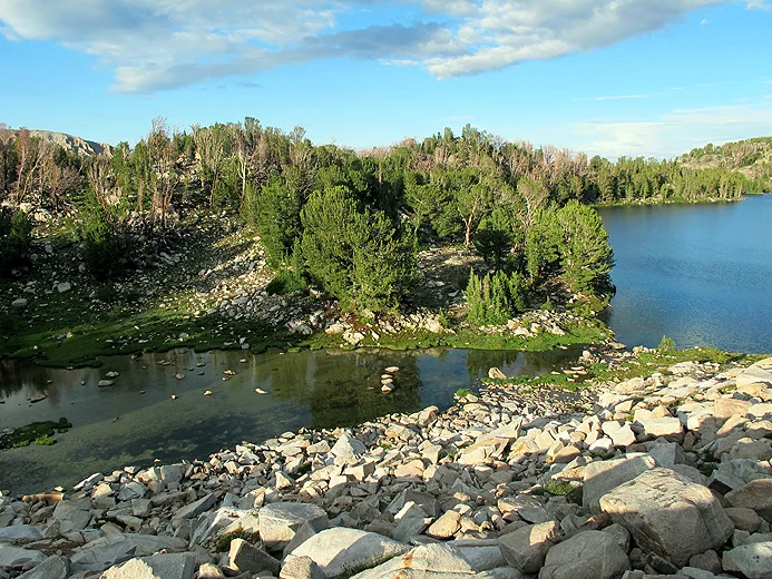 Cove Lake