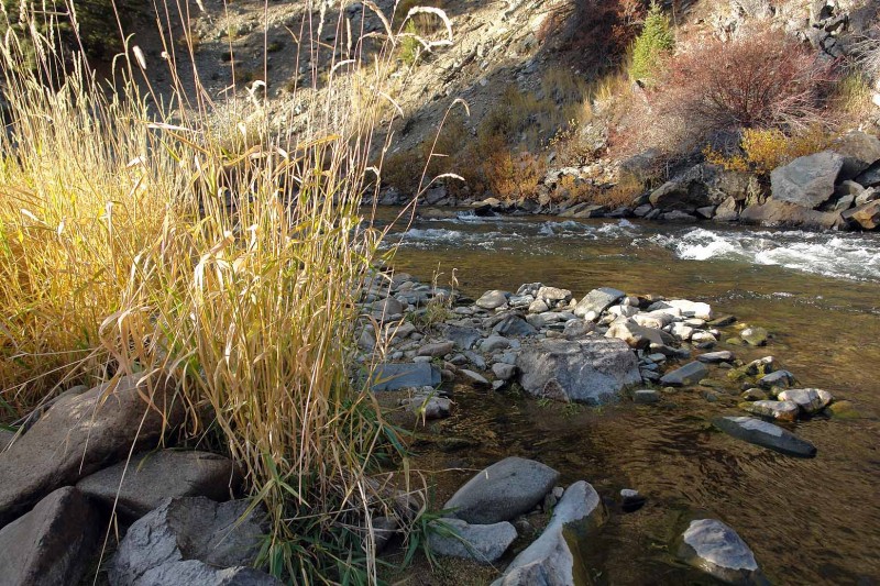 Above is the river near camp, with nice autumn colors.