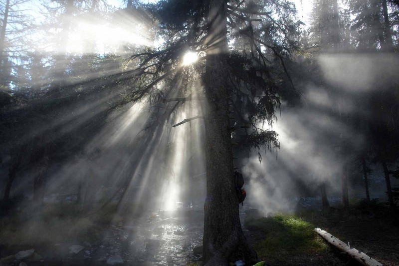 Morning sun in cutting through the steam from the hot water.