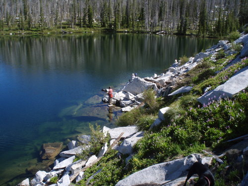 There was snow at the lake where was camped, in shady places. The elevation was about 8000'. I don't think I have seen more shooting stars than there were around the lakes and wet places at these lakes.