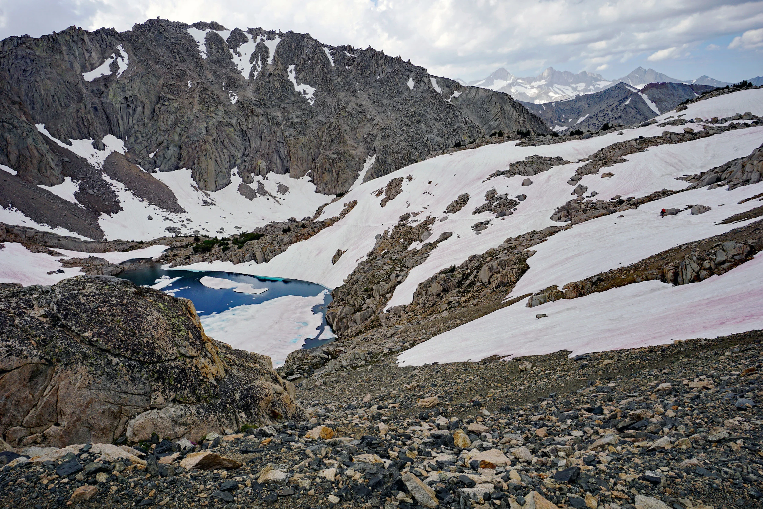 DSC07978.a.jpg