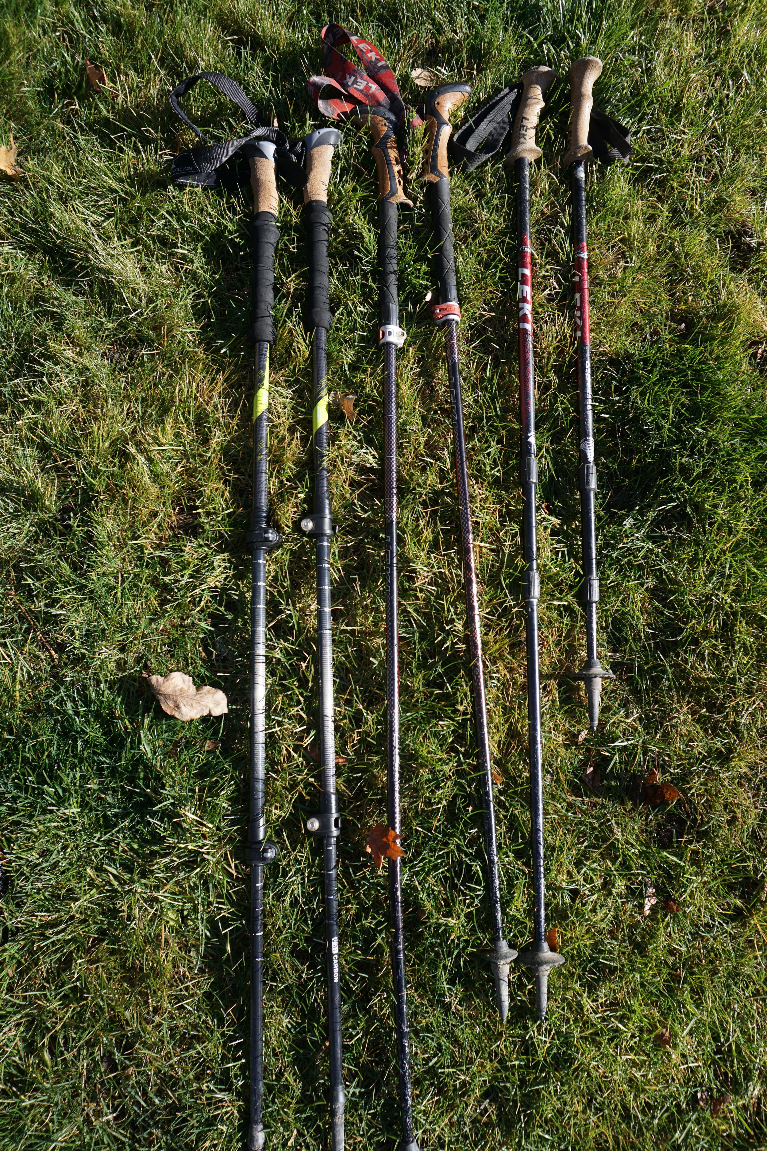 hiking sticks costco
