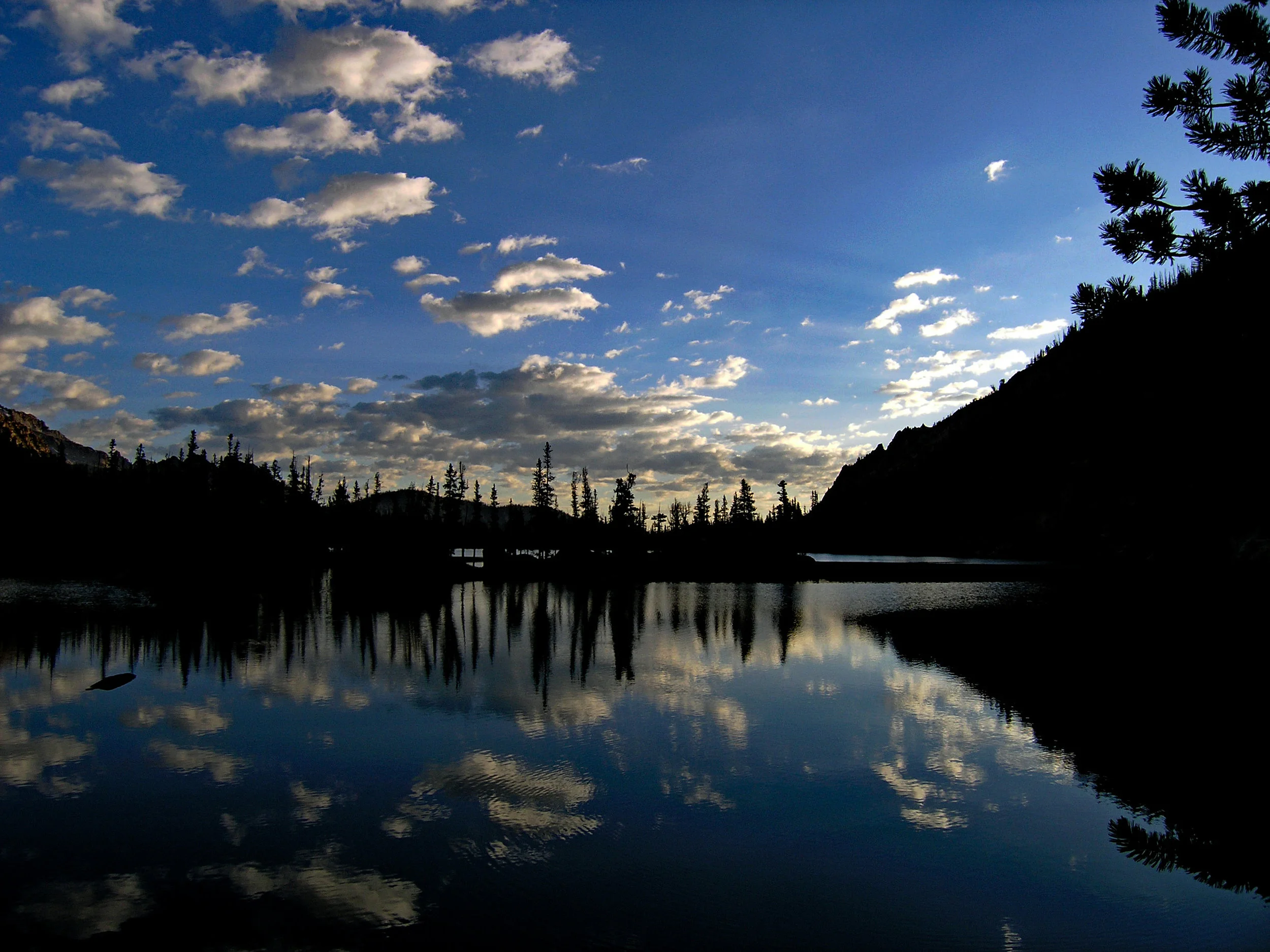 P1010064.a.jpg