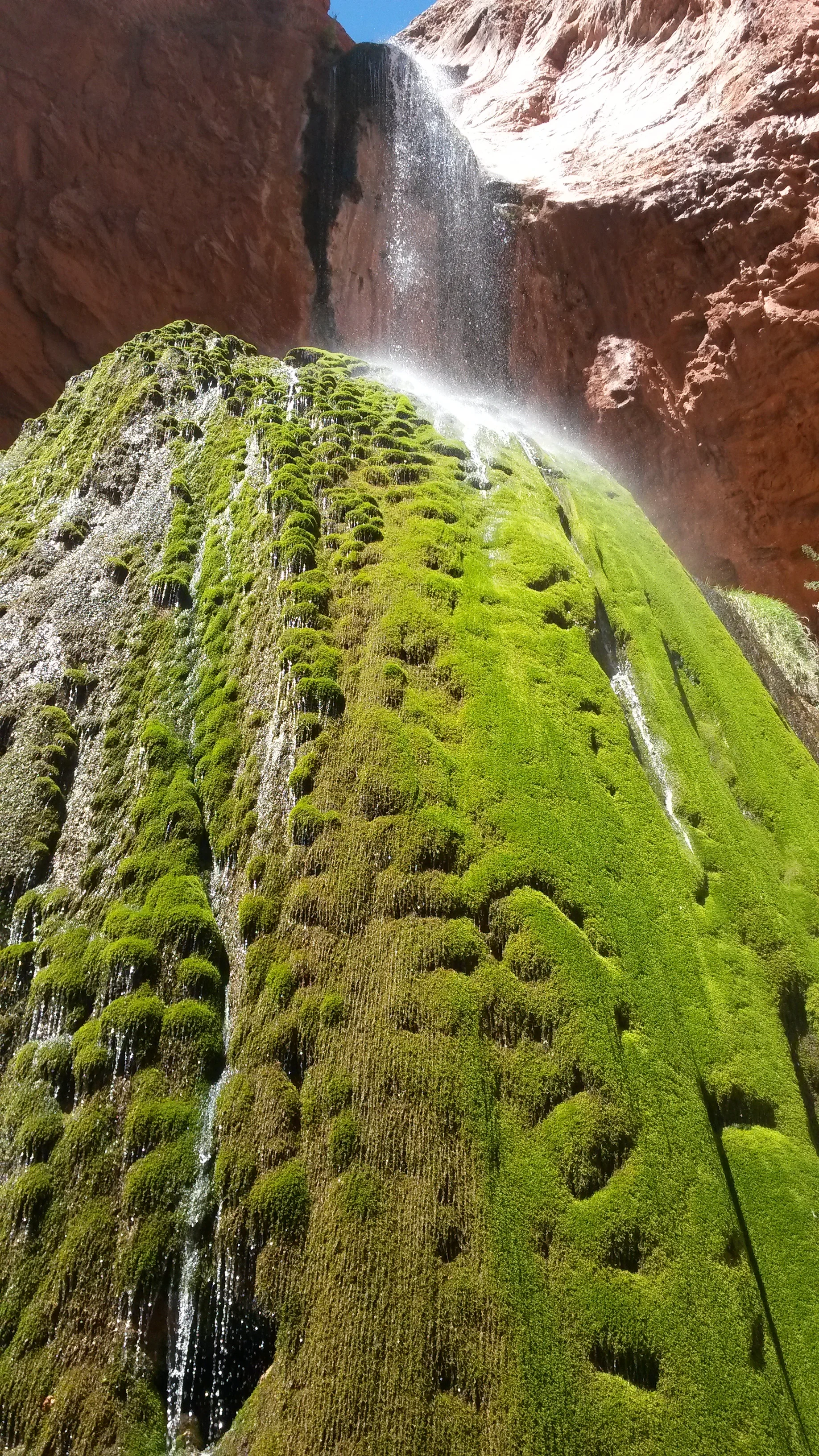 20180330_123930.jpg