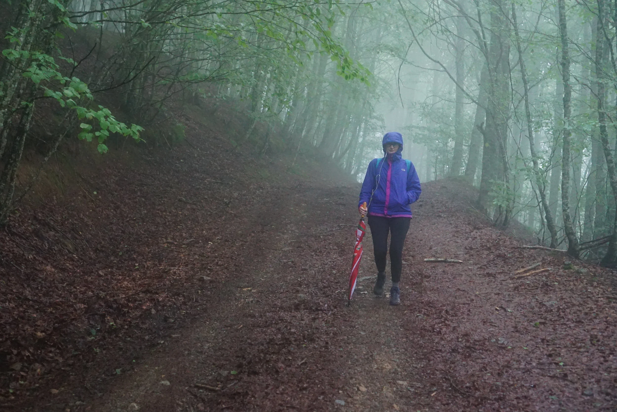 Day two of the Camino Frances, Orisson FR to Roncesvalle SP