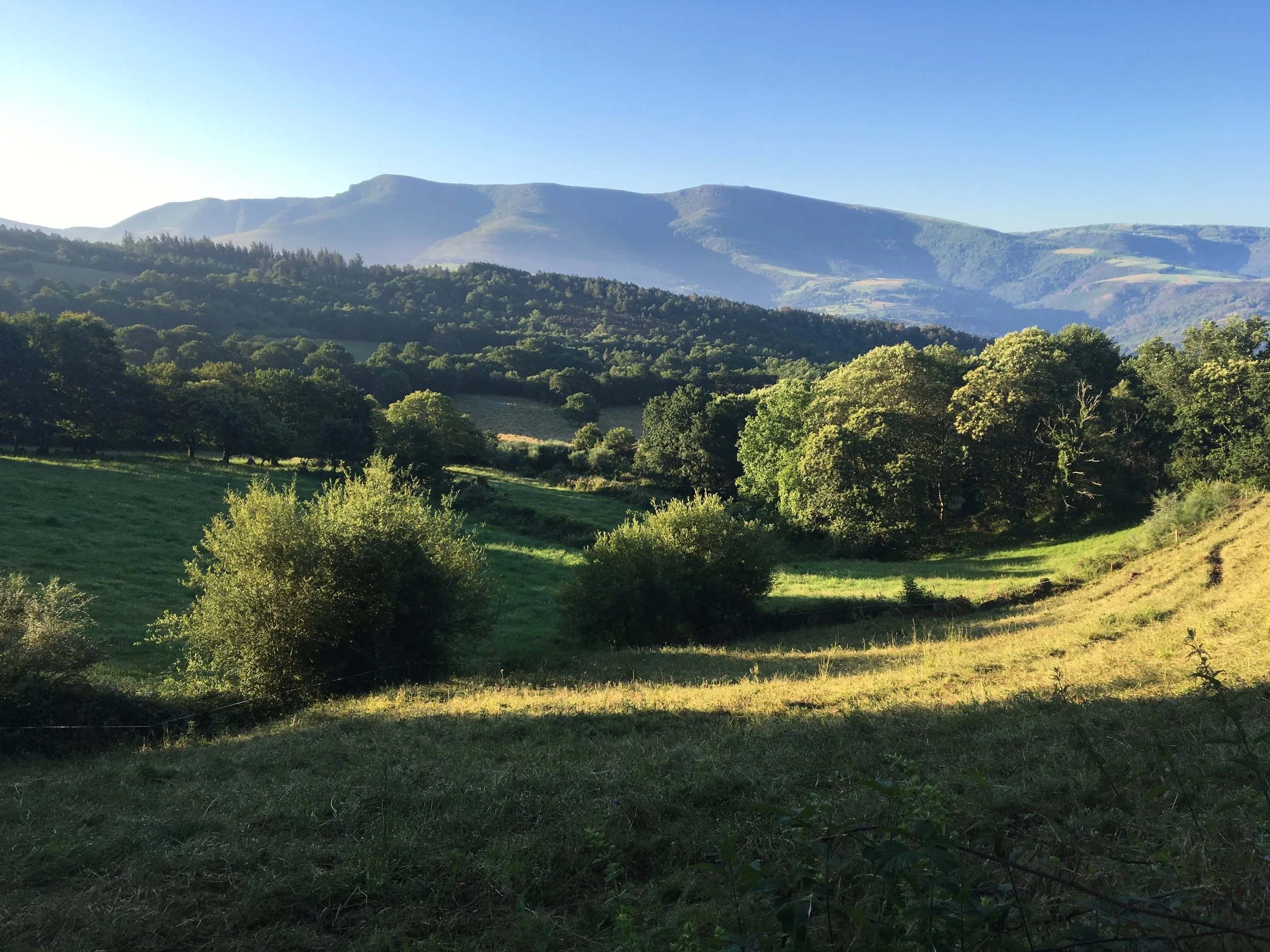 Days 27 and 28 on the Camino Frances, Triacastela to Sarria