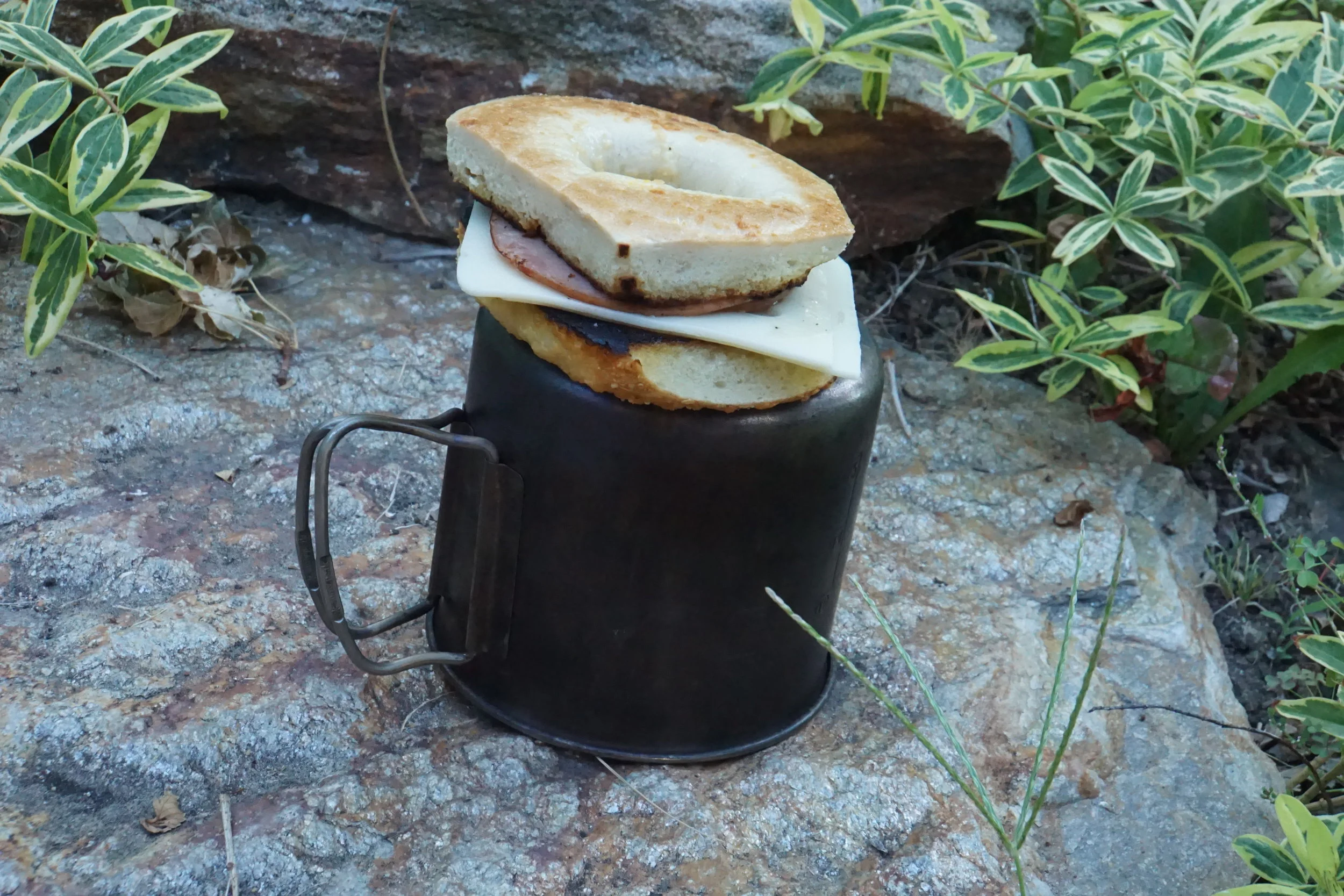 Toasted Bagel, Canadian Bacon, Cheese for Breakfast