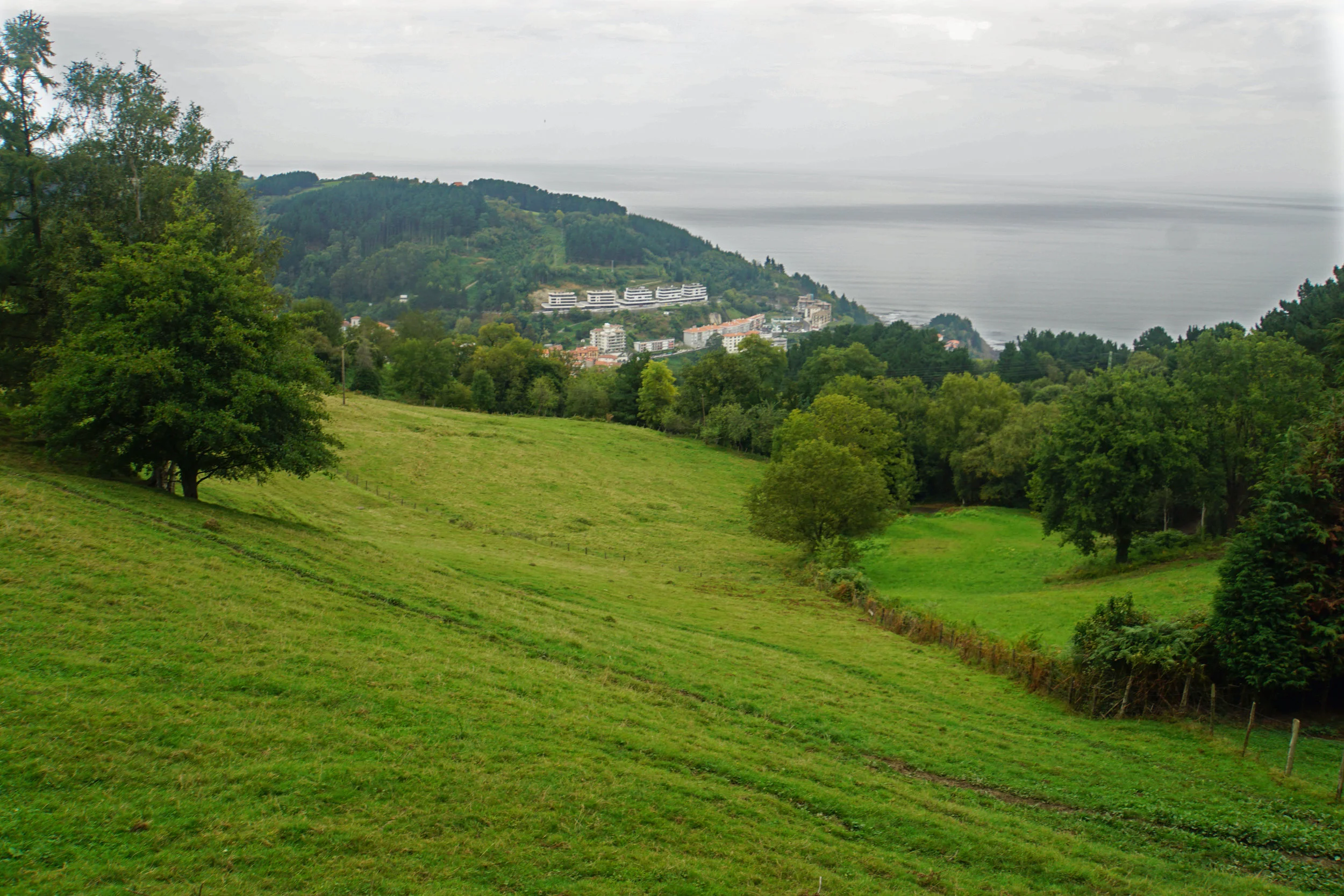 DSC04887.a.jpg