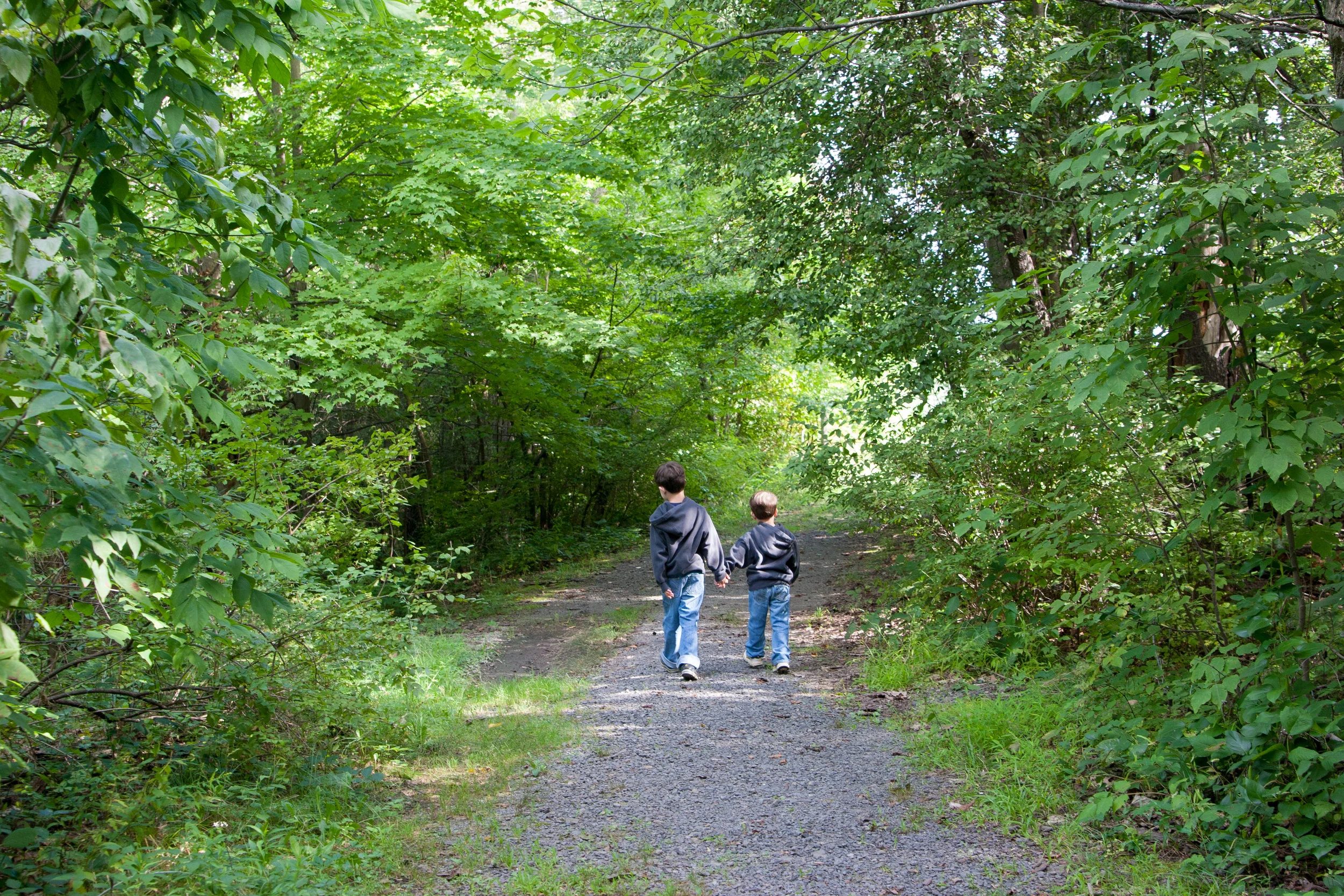 upstate walking-0267.jpg
