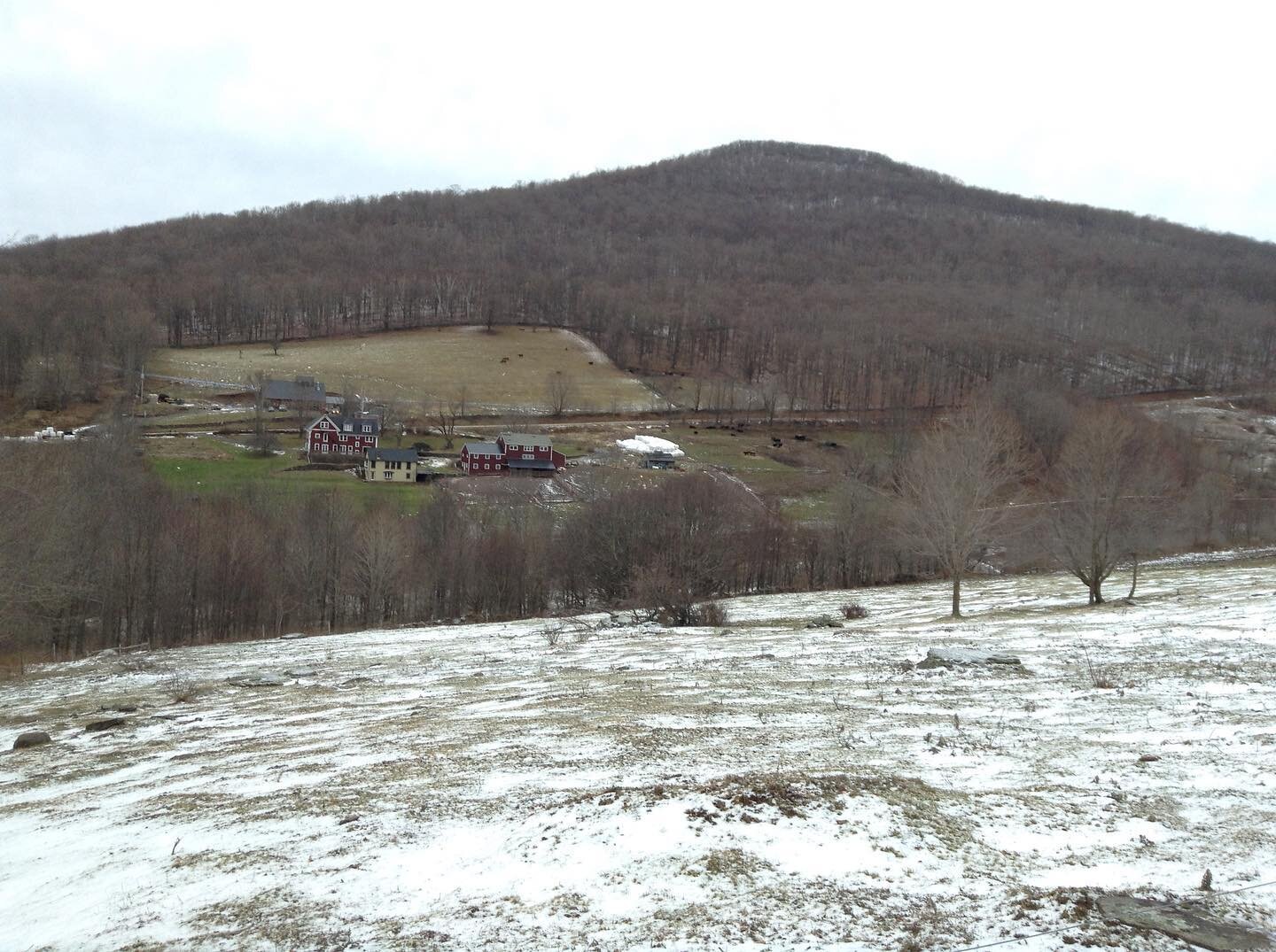 &ldquo;If you watch the red line of buds shimmer and spread in a wave over the forested hills, or smell the scent of rich earth and returning green - the fragrance of a Catskill Spring-ing &mdash; you might never imagine the fury of winter&rdquo;

In