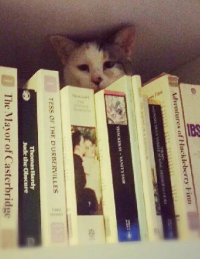 Screenshot 5:18:17, 9:57 AM.jpeg