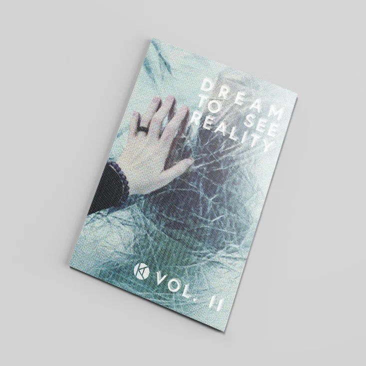 DTSR Zine - VOL II