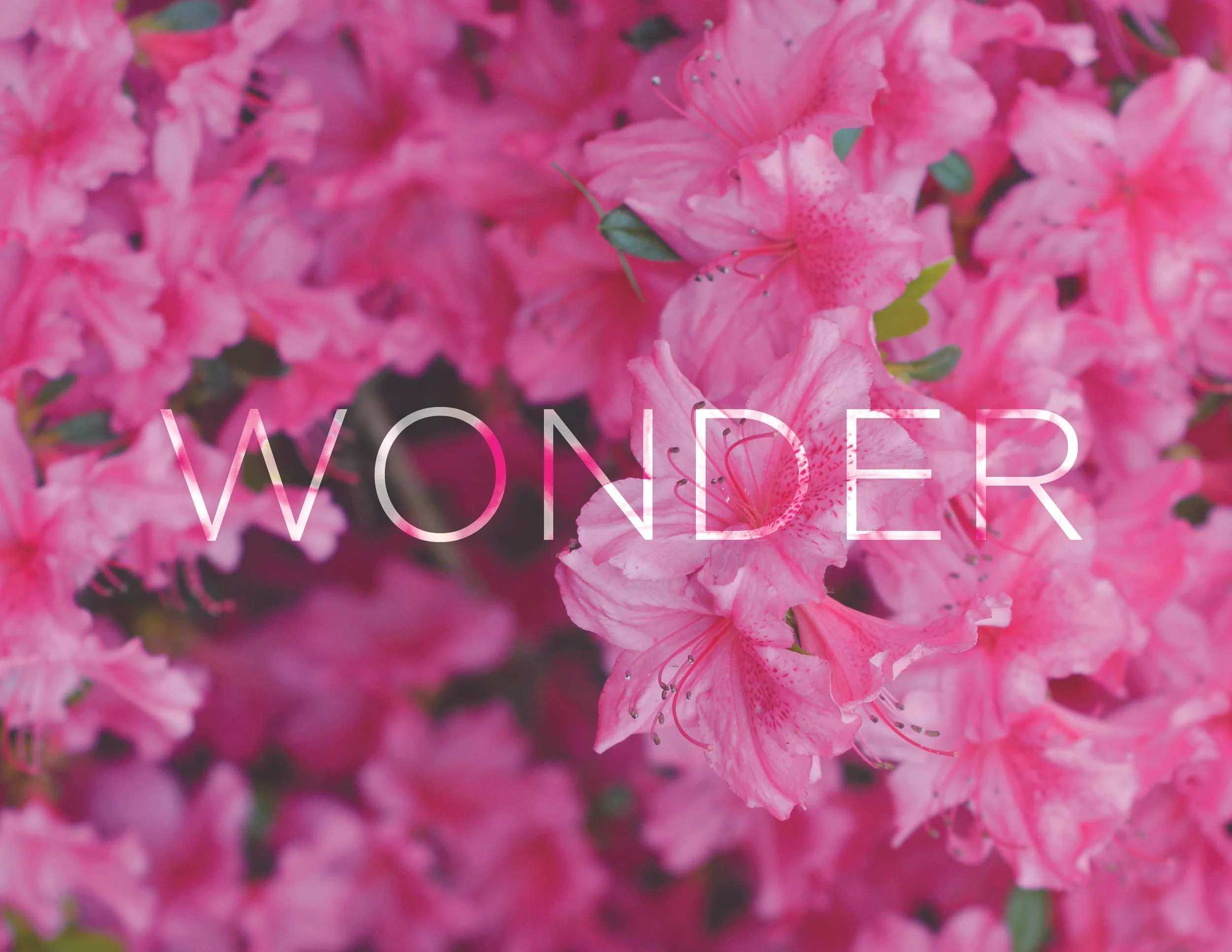 wonder_print.jpg