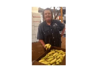 Ben and Christine Vanderbyl Ben and Christine Vanderbyl of Mullumbimby provide Food Connect Brisbane with ecological ladyfinger bananas.