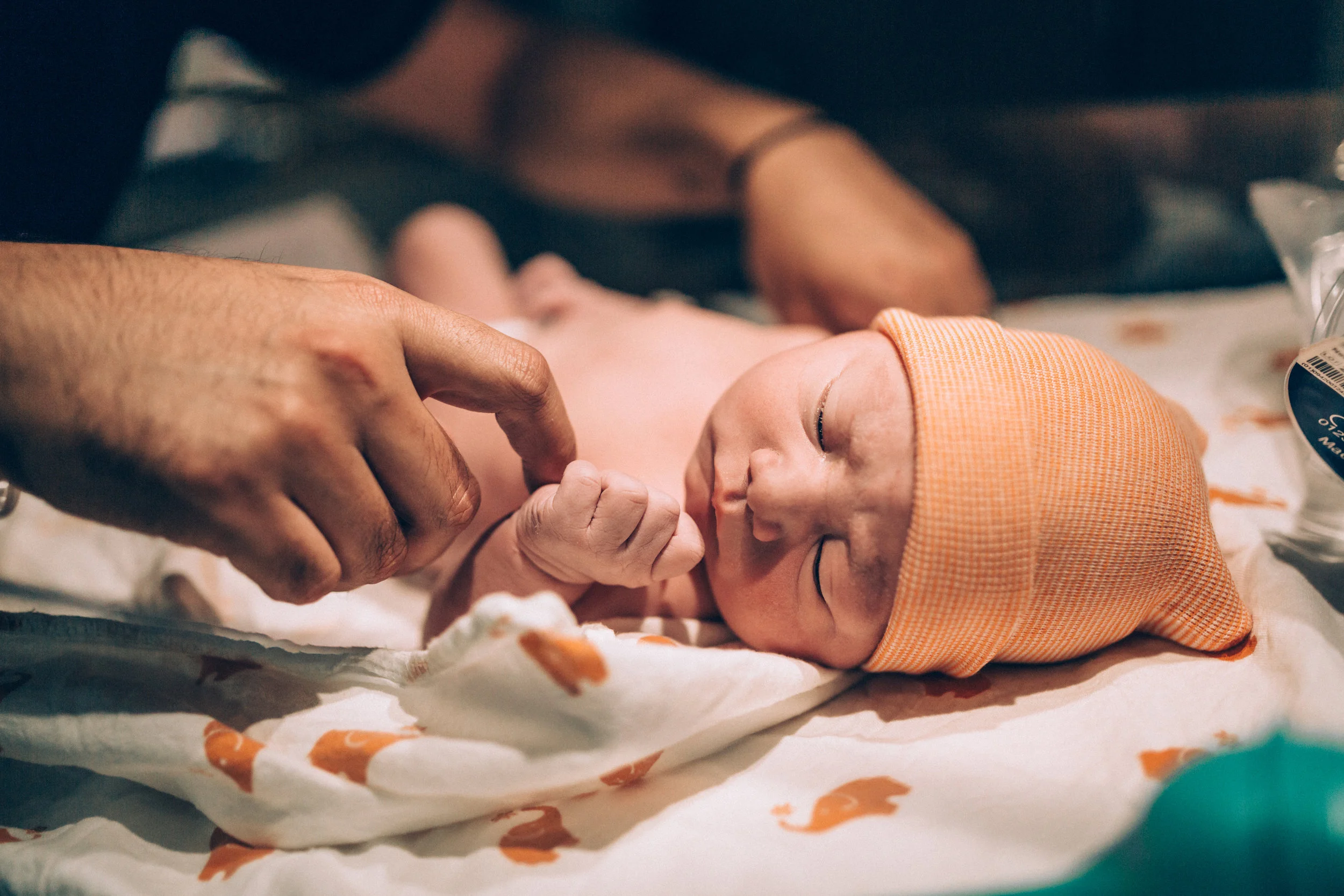 9P1A6300.jpg