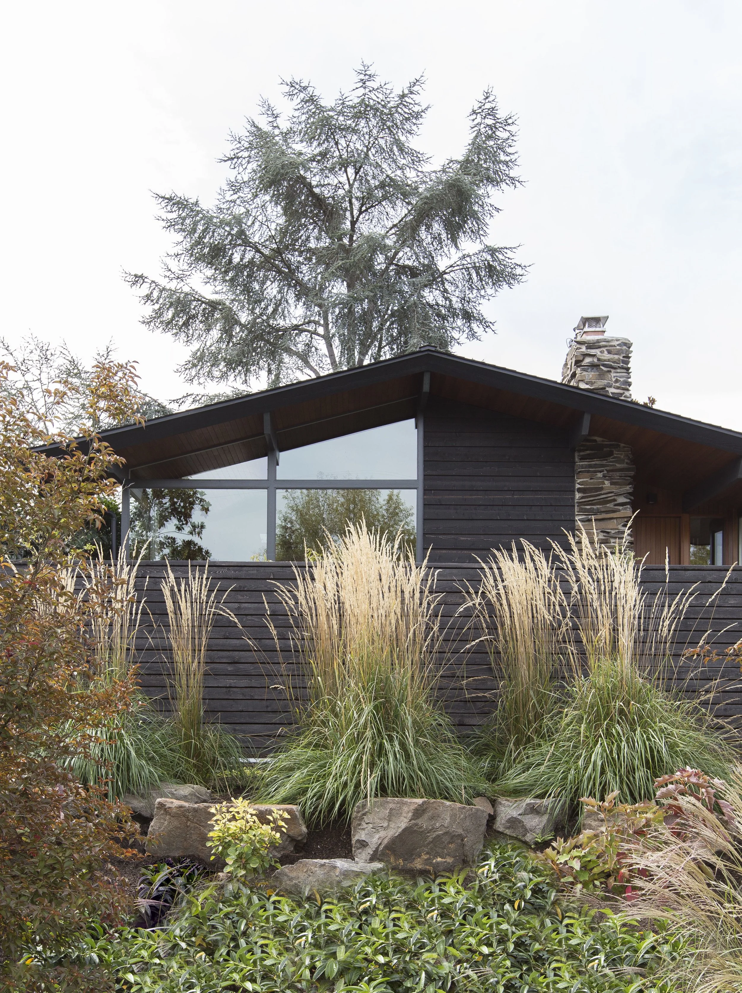 Shed-MadisonPark-2.jpeg