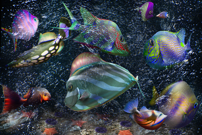 Fish Tank 4