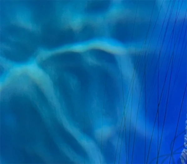 Detail 3
