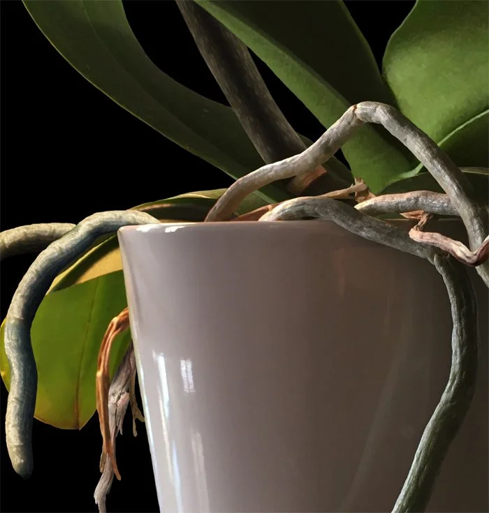 Detail 2