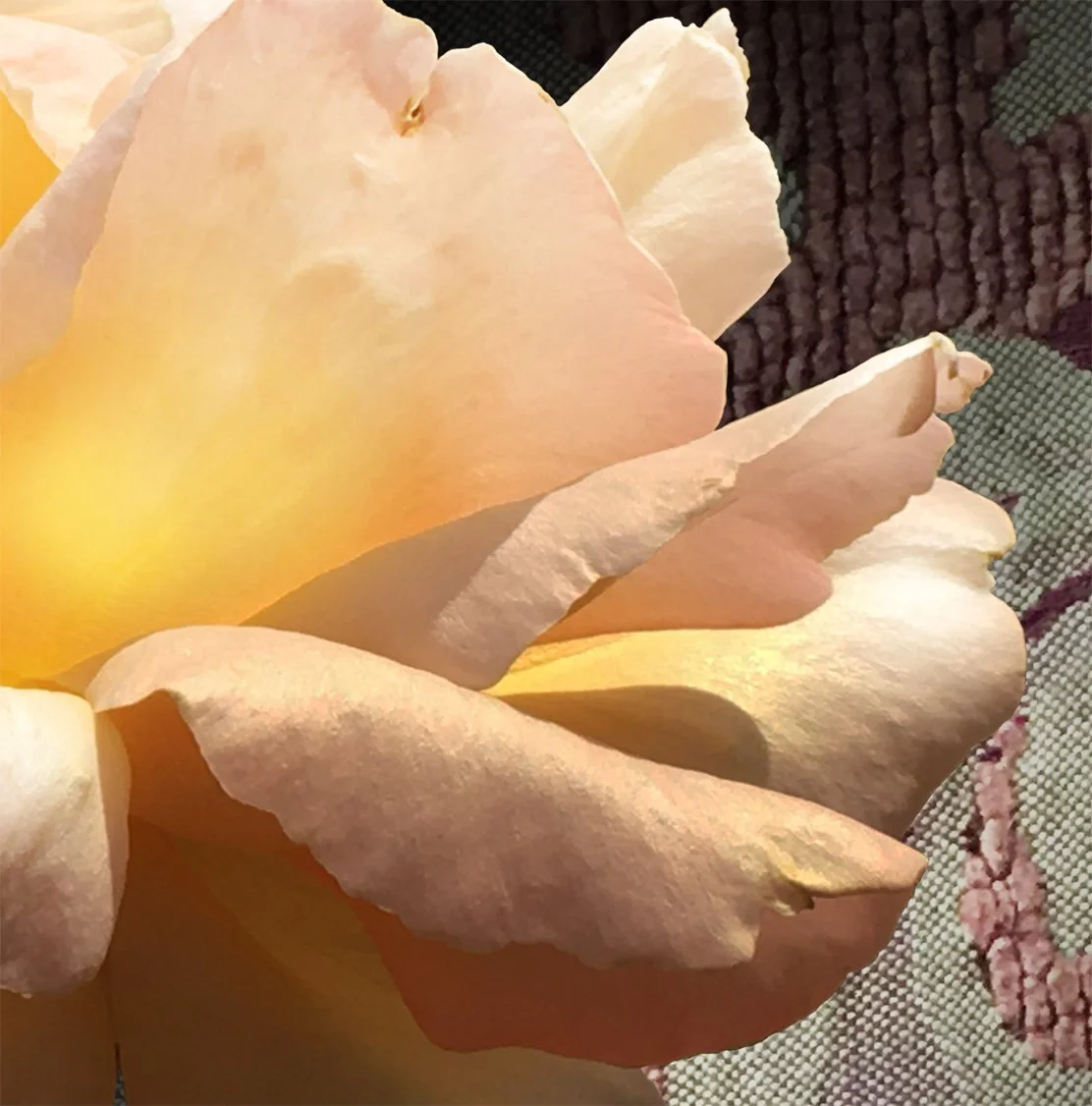 Detail 1