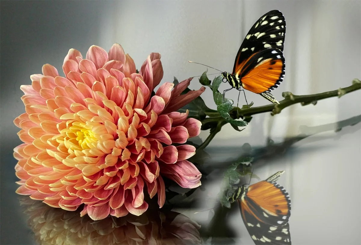 Chrysanthemums. Detail 4