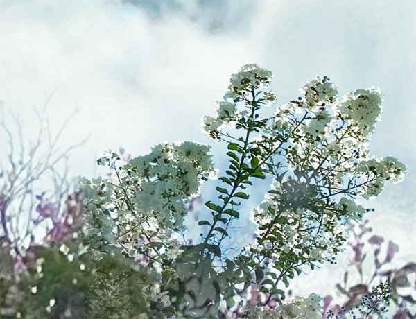 Eternal Sky.Detail 4