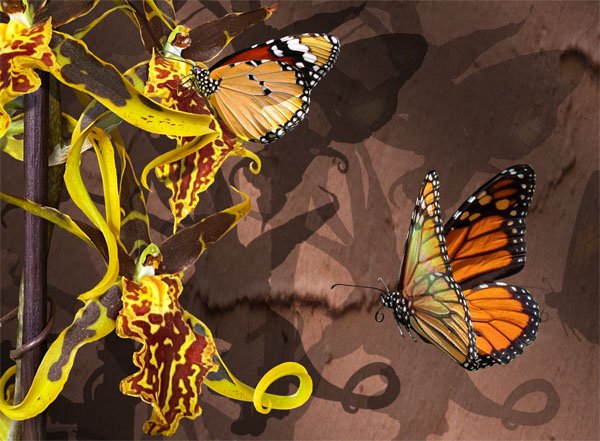 Exotic Orchid with Butterflies. Detail 2