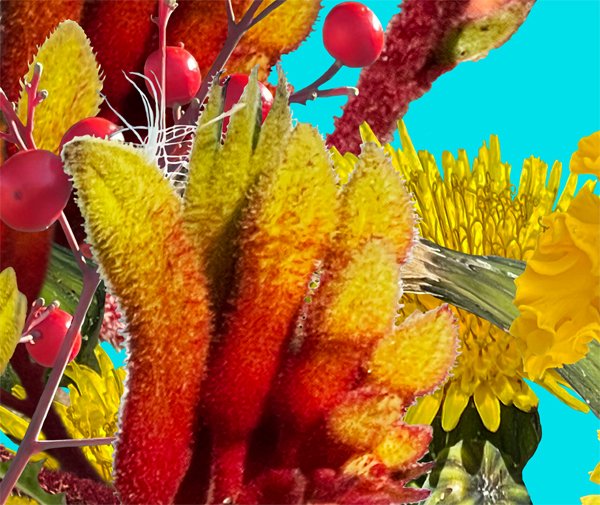 Red and Yellow. Detail 1