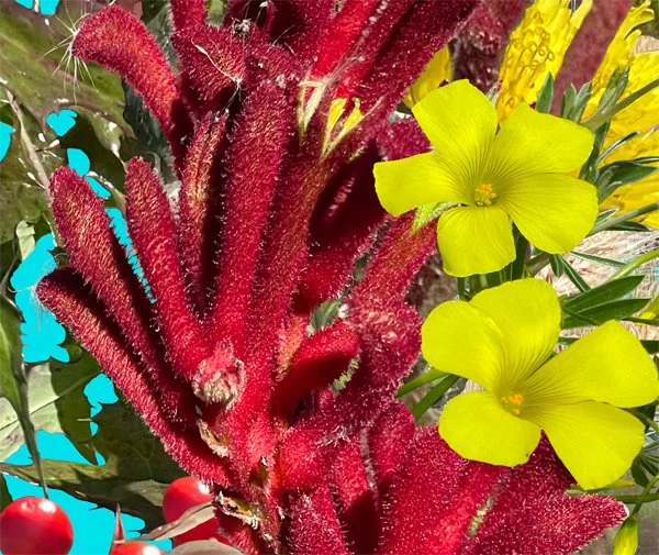 Red and Yellow. Detail 2