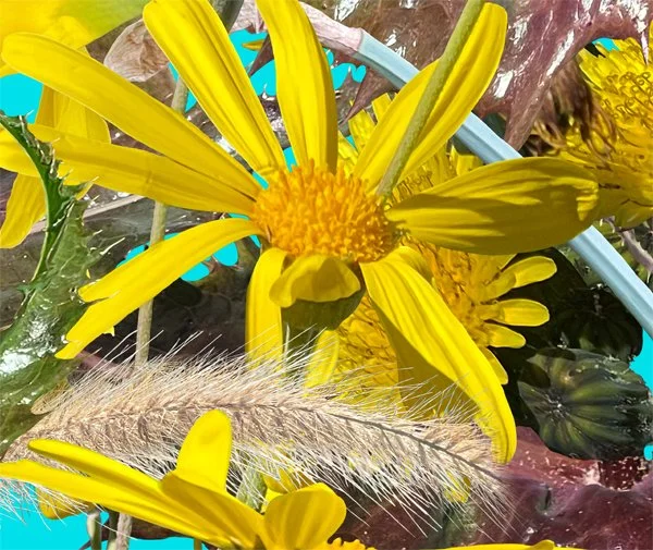 Red and Yellow. Detail 3