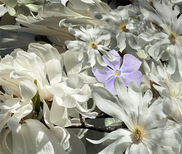 White Symphony. Detail 2