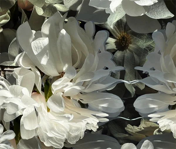 White Symphony. Detail 3