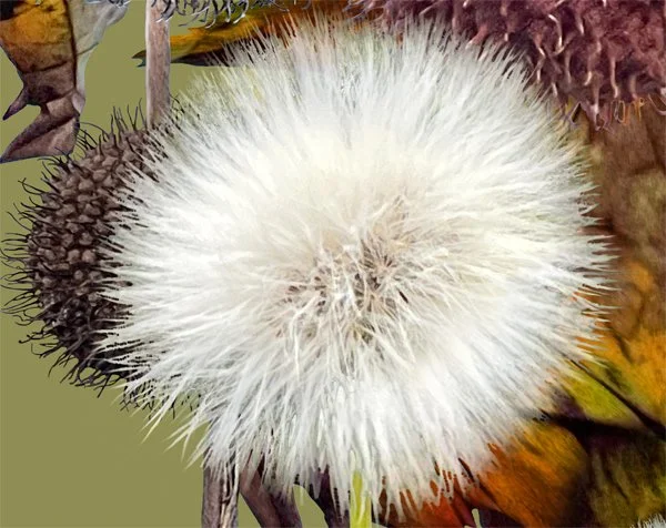 Winter Spheres. Detail 1