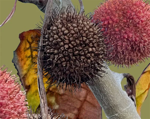 Winter Spheres. Detail 3