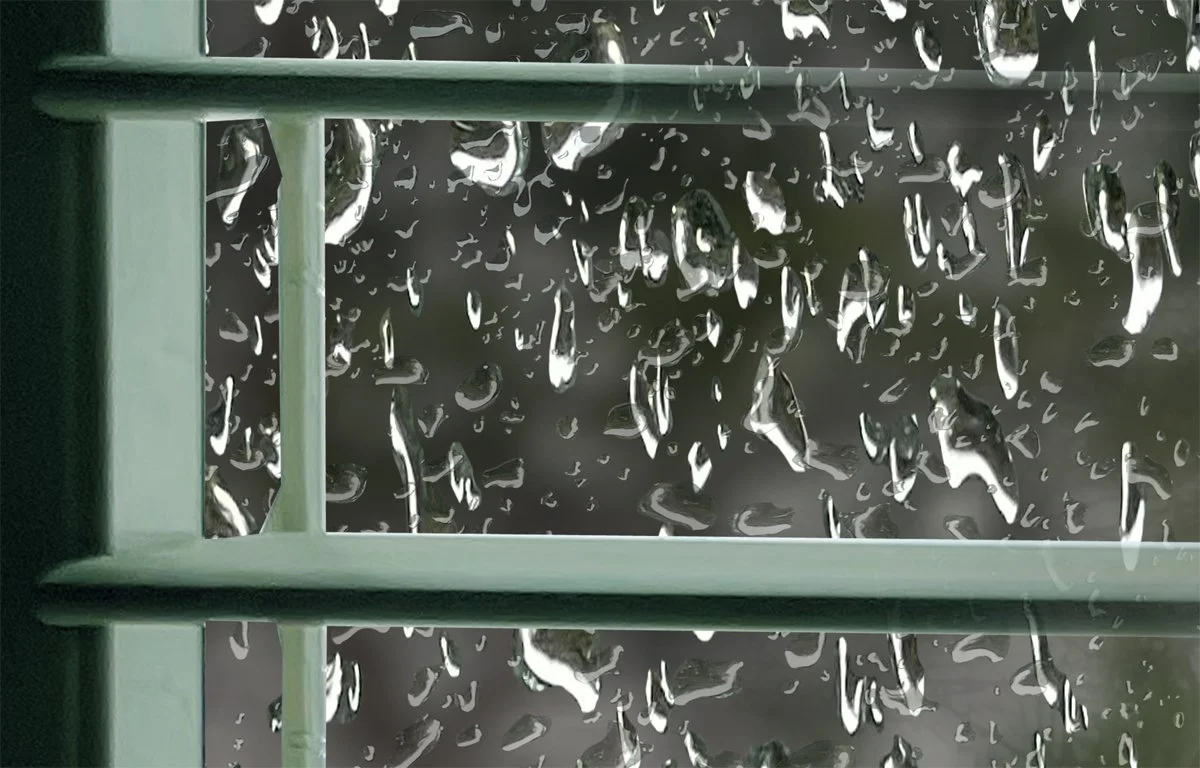 Green Rain. Detail 2