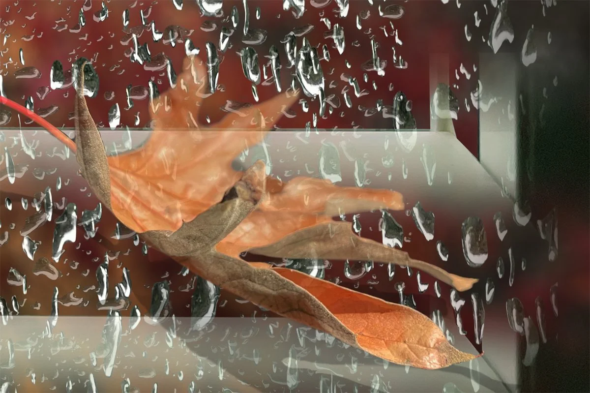 Orange Rain. Detail 3