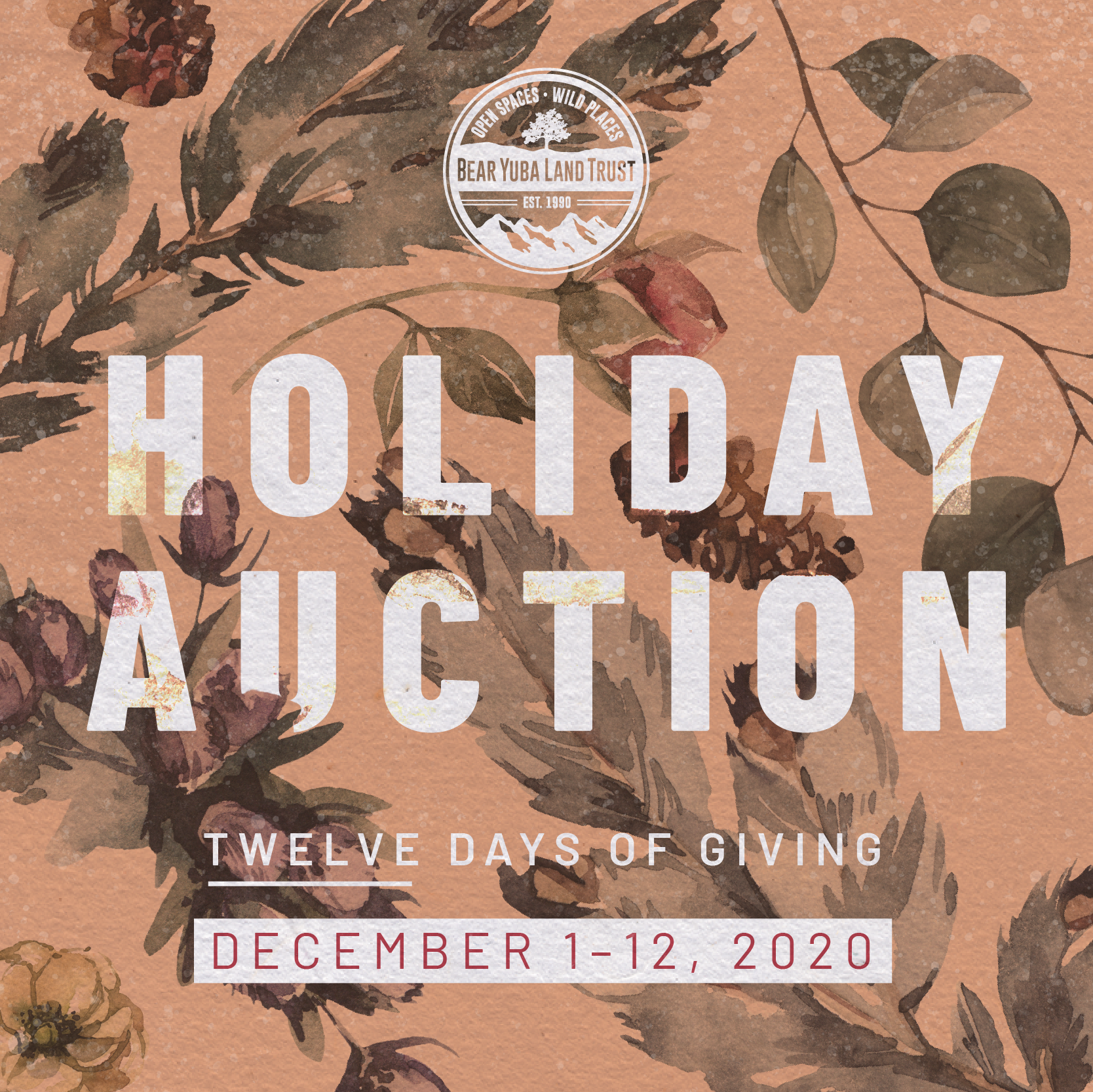 HolidayAuction-IG.png