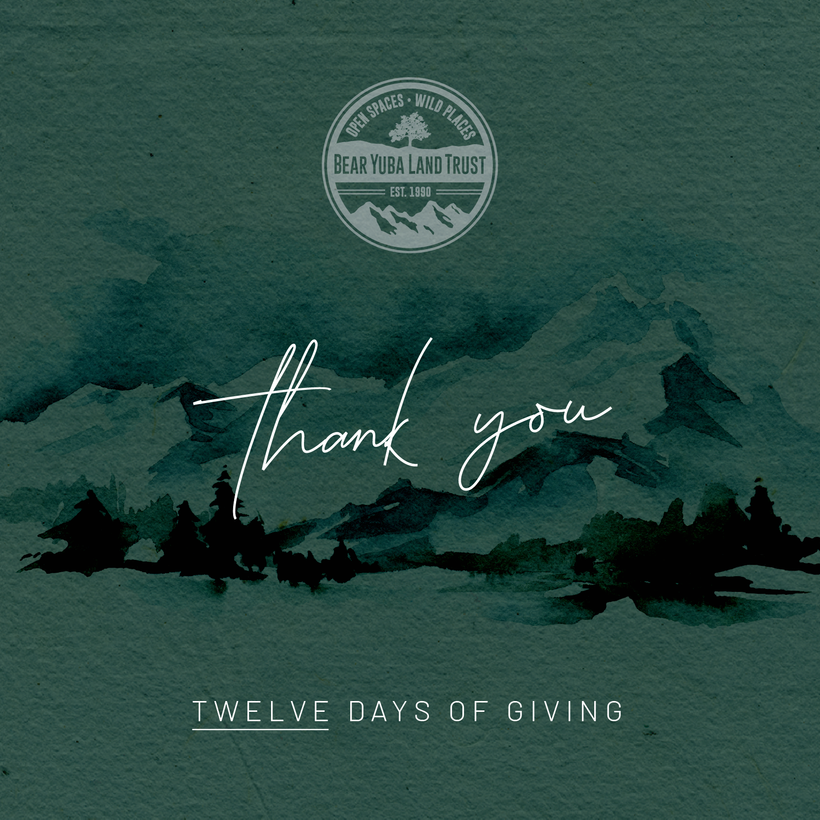 12DaysGiving_thankyou-sq.png