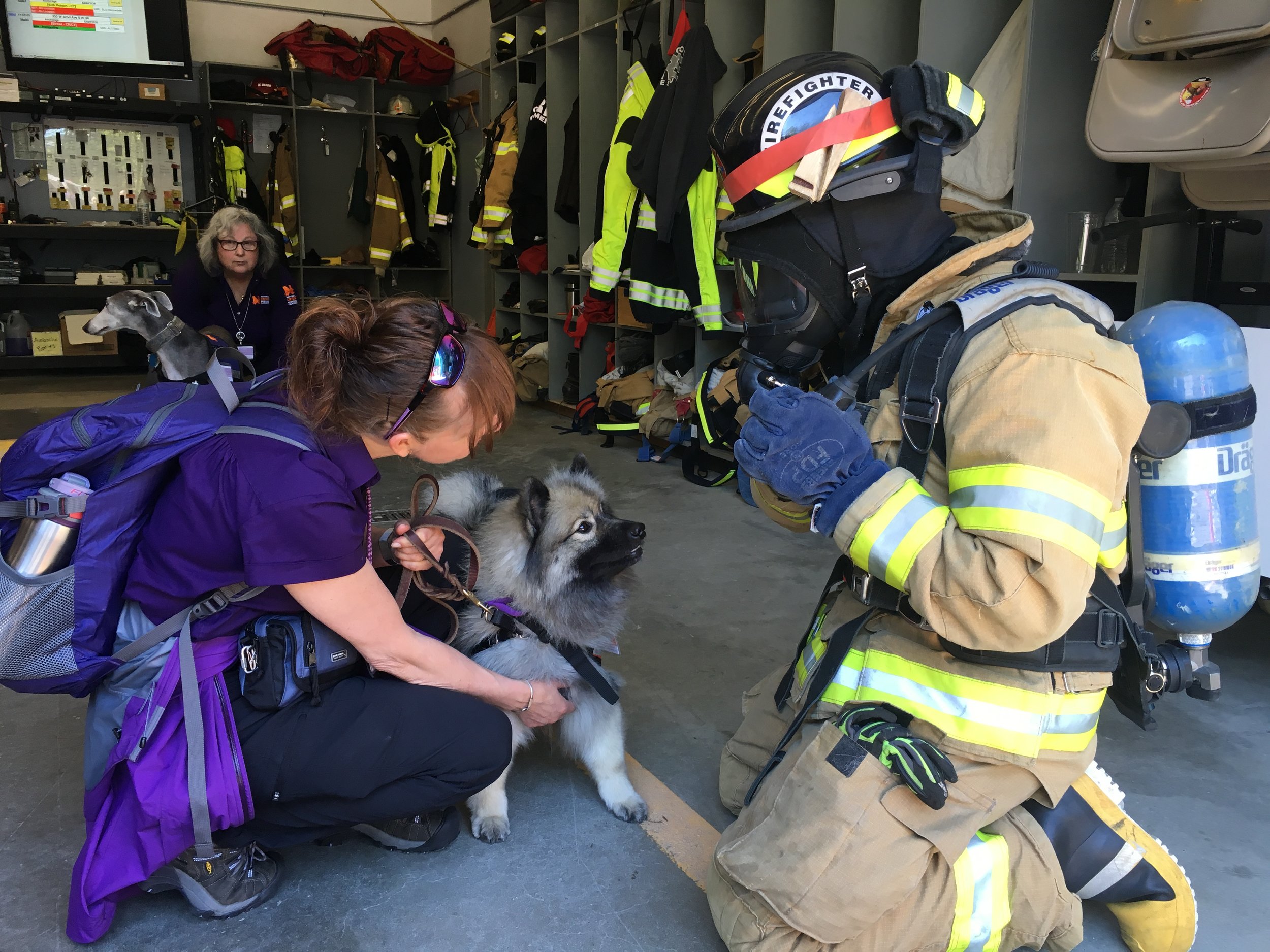 Training with Canine unit groups