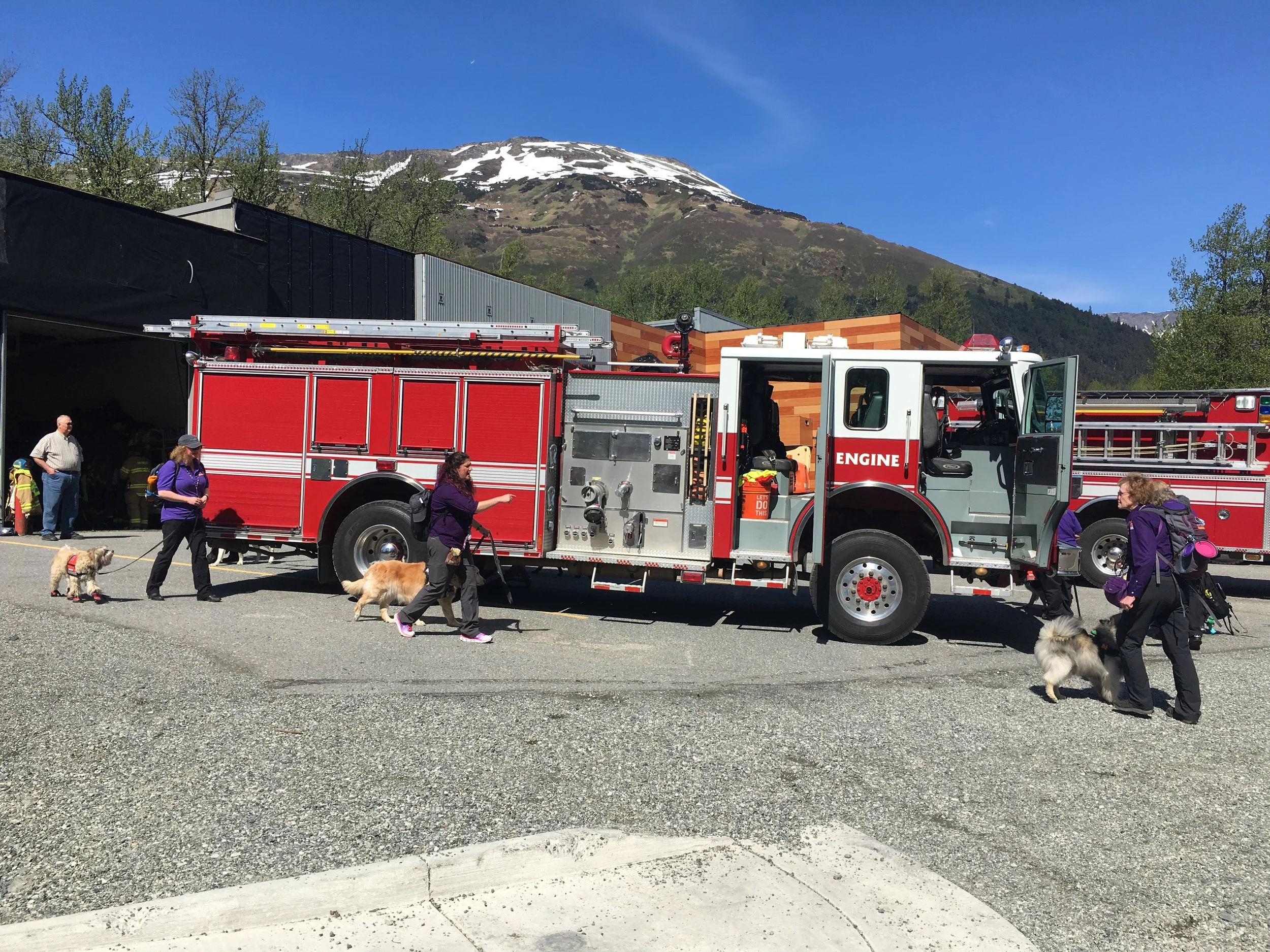Training with Canine unit groups