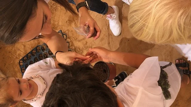 image1-11.jpeg