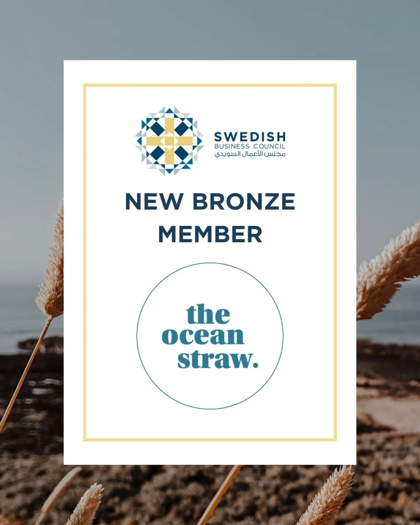 We are excited to welcome The Ocean Straw Group AB as our newest Bronze Member.

Founded in Sweden, The Ocean Straw is committed to creating premium, sustainable alternatives to single-use plastics. With strong roots in the HoReCa sector, they collab
