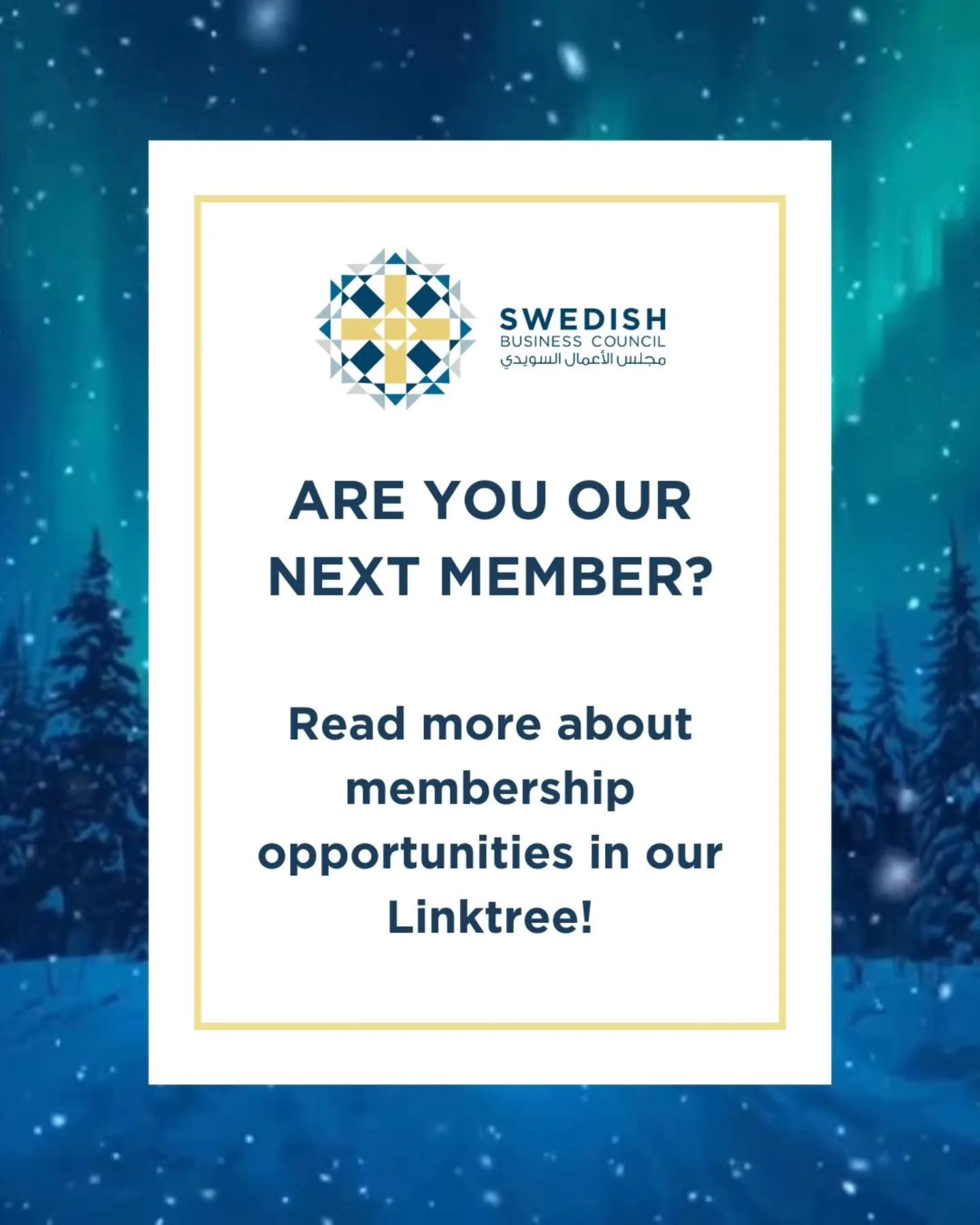 Why become an SBC member?
Because growth happens when the right people, ideas, and opportunities come together.

As an SBC member, you gain access to valuable connections, practical insights, and exclusive learning experiences designed to help your b