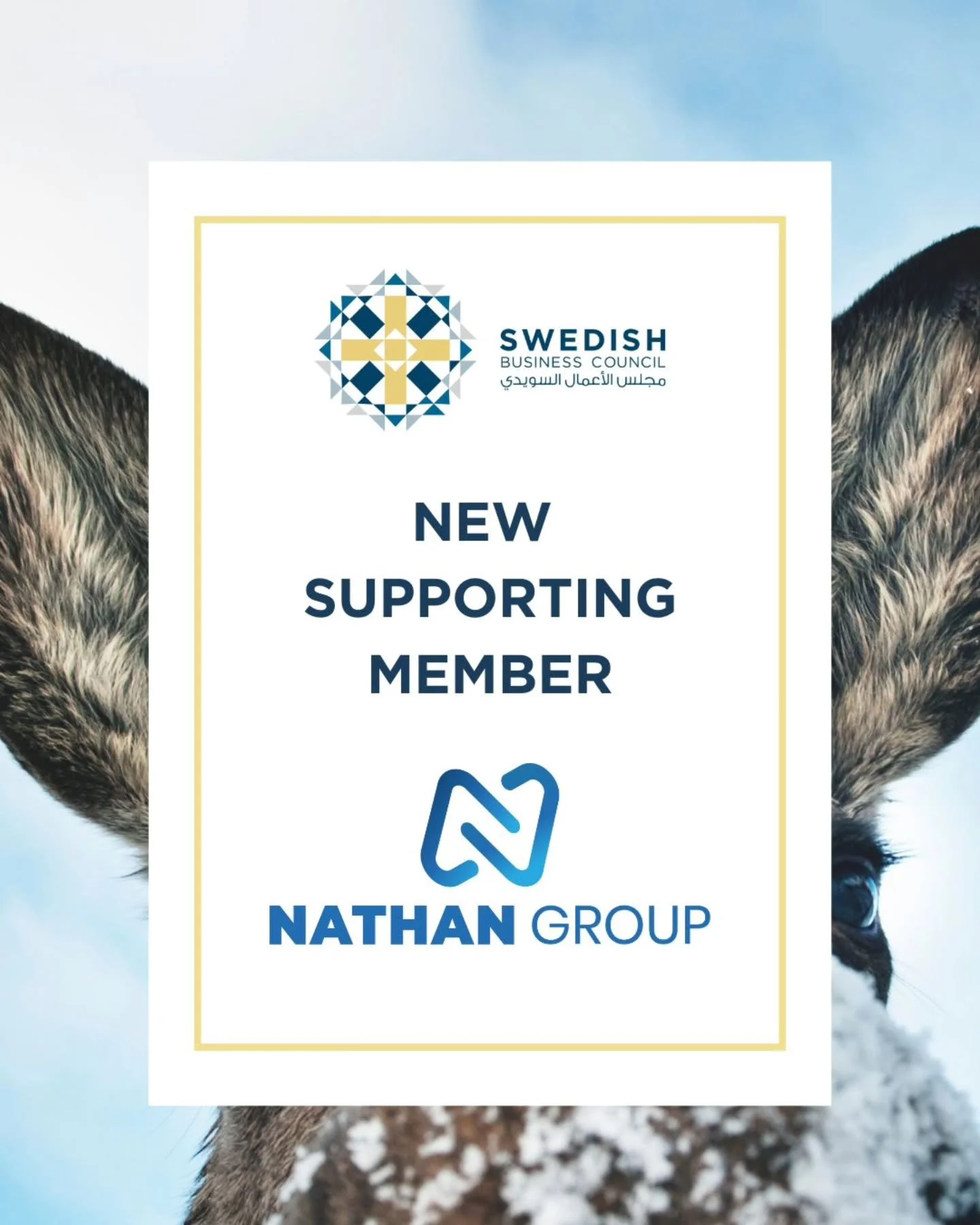 Welcome @nathan.digital.erp Nathan Group - 
Empowering People, Systems, and Progress

The Nathan Group is a privately owned holding company with interests in a diverse set of businesses that operate in the United Arab Emirates, Saudi Arabia, United K
