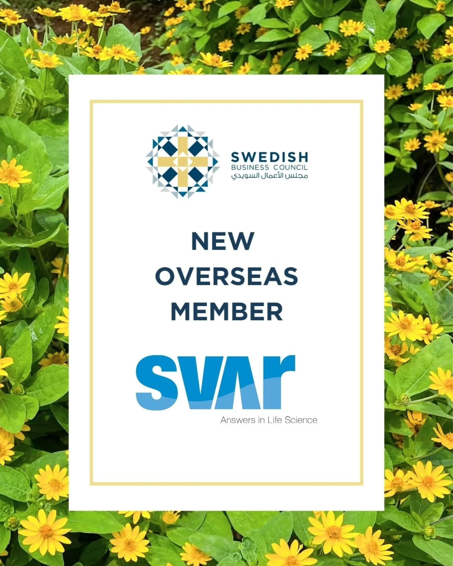 Welcome to the Swedish Business Council Svar Life Science AB- Answers in Life Science 

@svarlifescienceab is a life science company with proud Scandinavian roots and values, and a global perspective. We invent, develop and apply the best analytical 