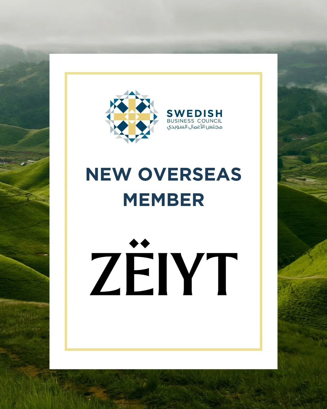 Warm welcome to our new Overseas Member @zeiytofficial. 

Z&Euml;IYT is a Scandi-Palestinian brand creating products rooted in Ancient Olive Oil Rituals &mdash; for hair, body, and spirit. They craft products rooted in nature, designed to restore sim