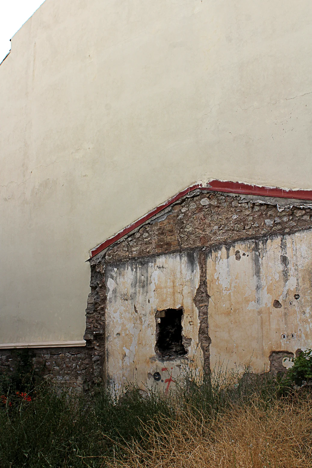 IMG_7986.jpg