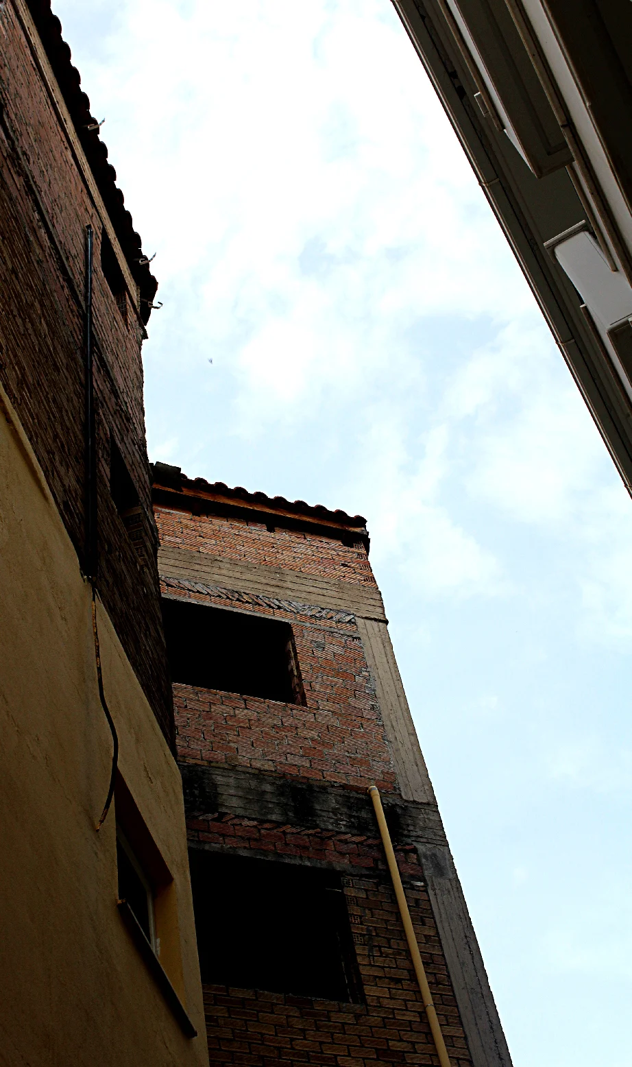 IMG_8046.jpg